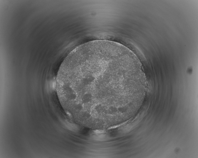 X0000116830095201001151235