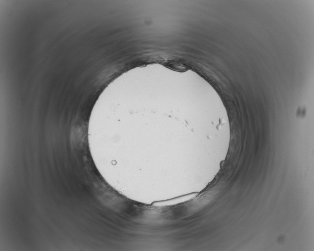 X0000116830096201001151235