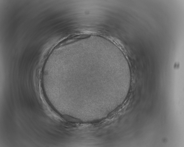 X0000116830097201001151235