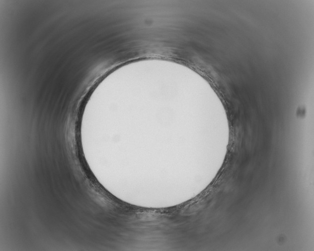 X0000116830098201001151235