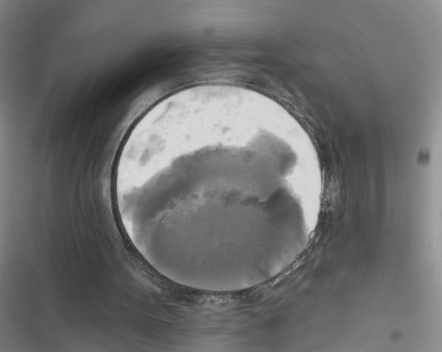 X0000116830099201001151234