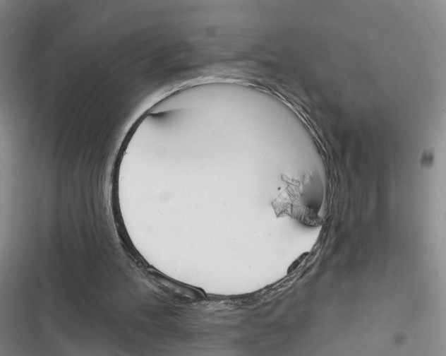 X0000116830100201001151234