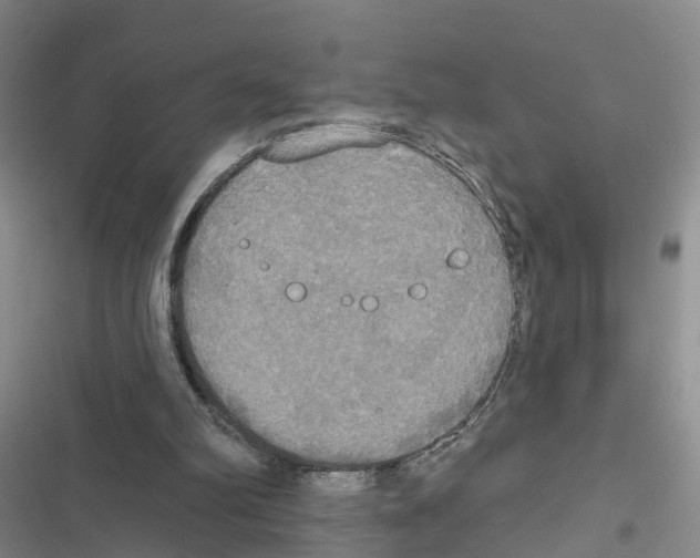 X0000116830102201001151234