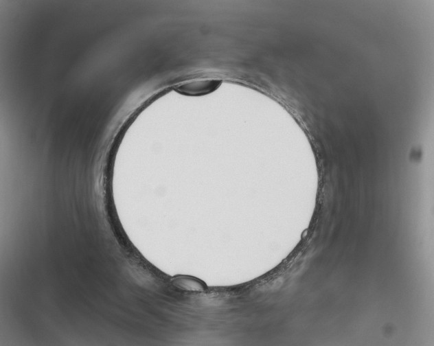 X0000116830103201001151234