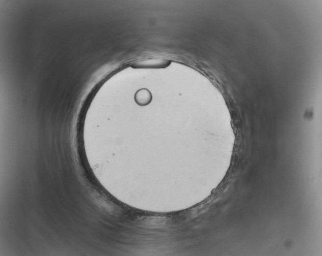 X0000116830104201001151234