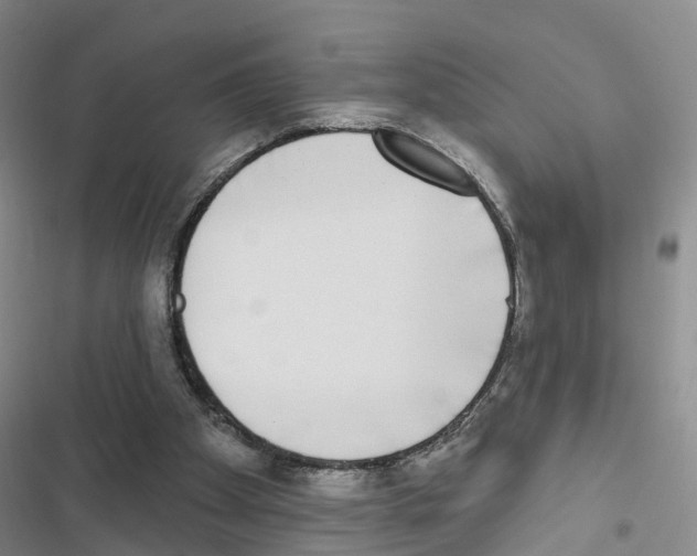 X0000116830105201001151234