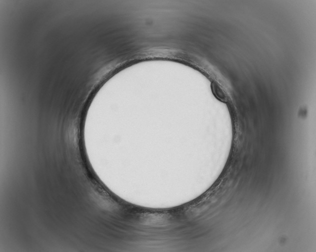 X0000116830107201001151234