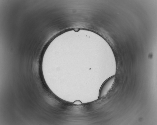 X0000116830108201001151234