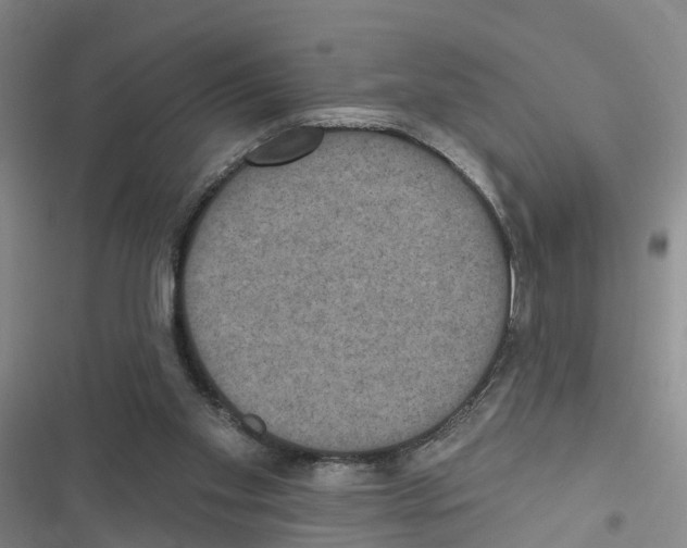 X0000116830109201001151234