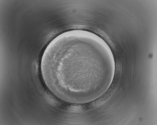 X0000116830110201001151234