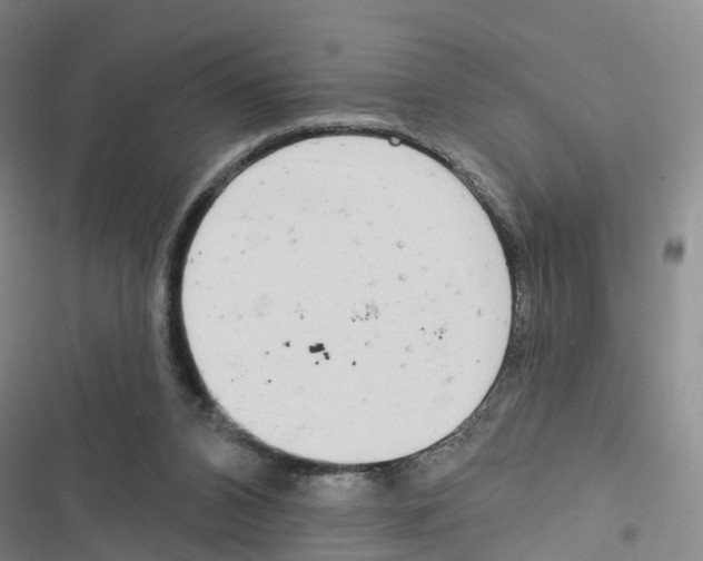 X0000116830112201001151234