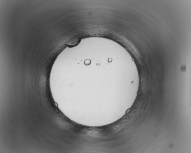 X0000116830113201001151234