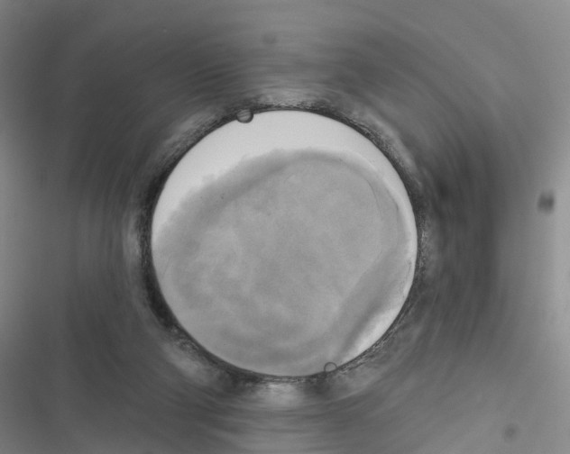 X0000116830114201001151234