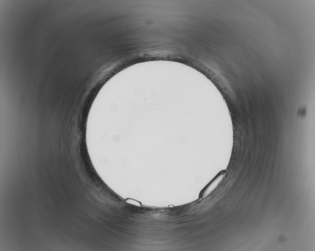 X0000116830116201001151234