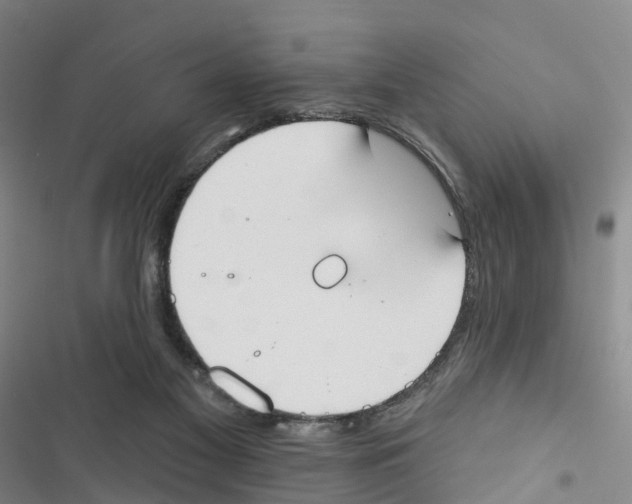 X0000116830117201001151234