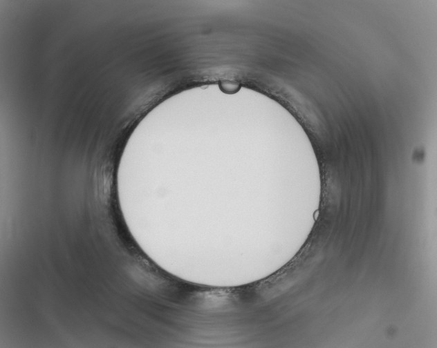 X0000116830118201001151234