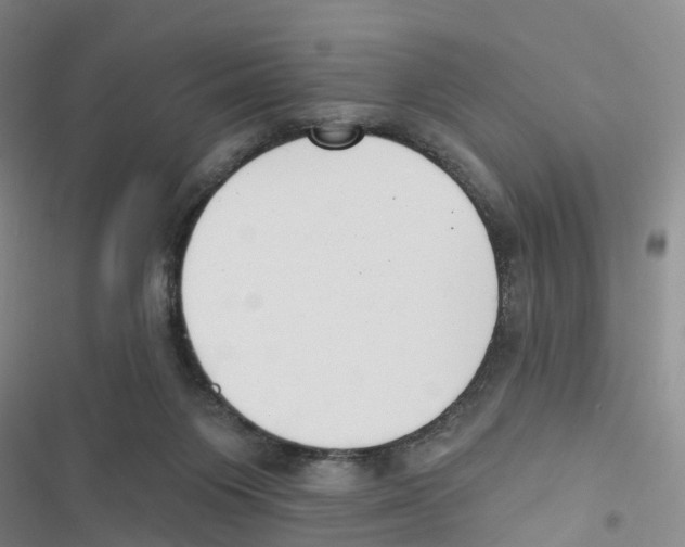 X0000116830119201001151234