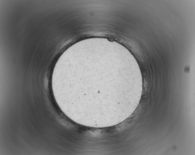 X0000116830120201001151234