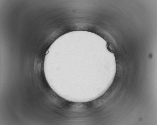 X0000116830123201001151234