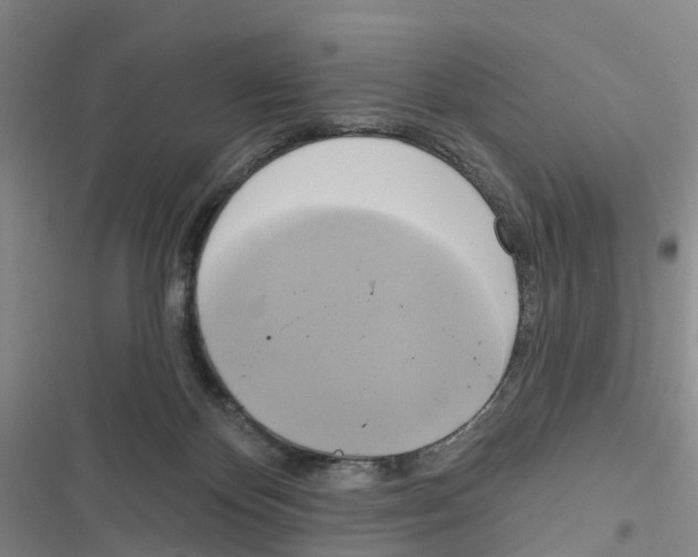 X0000116830124201001151234