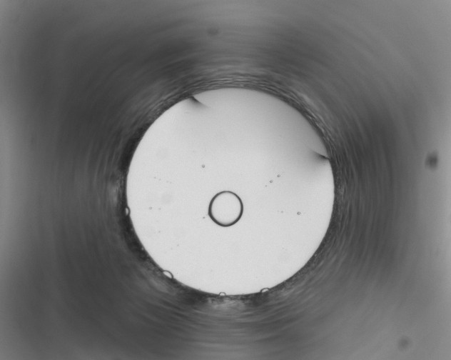 X0000116830125201001151234