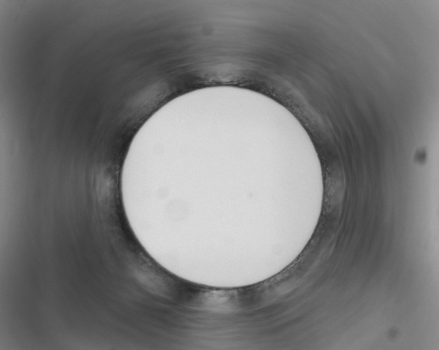 X0000116830126201001151234