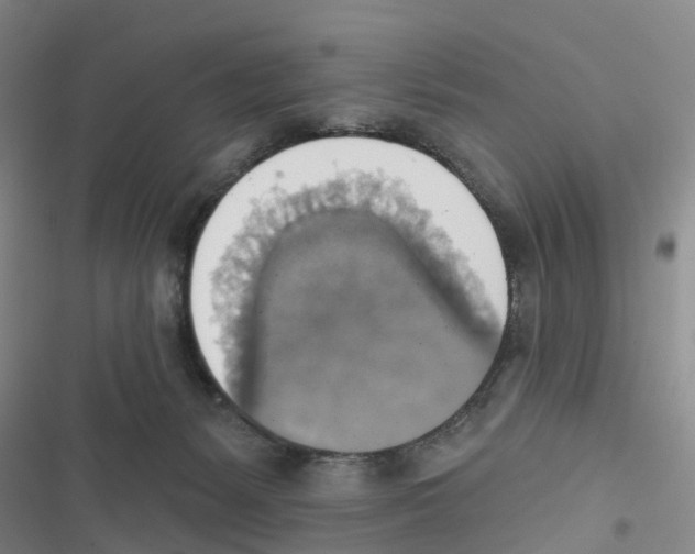 X0000116830127201001151234