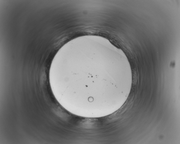 X0000116830128201001151234