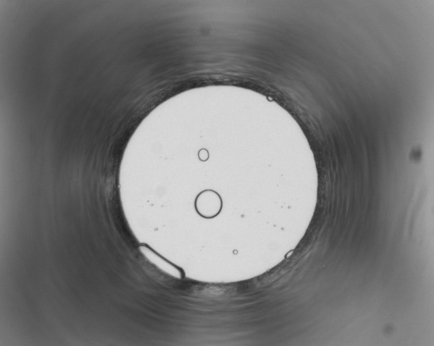 X0000116830129201001151234