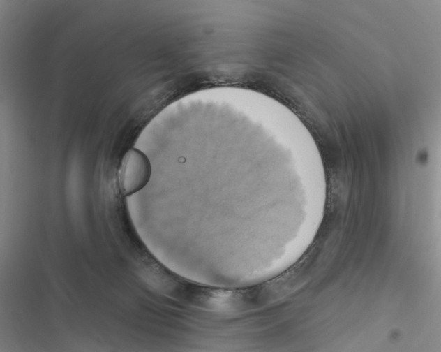 X0000116830130201001151234