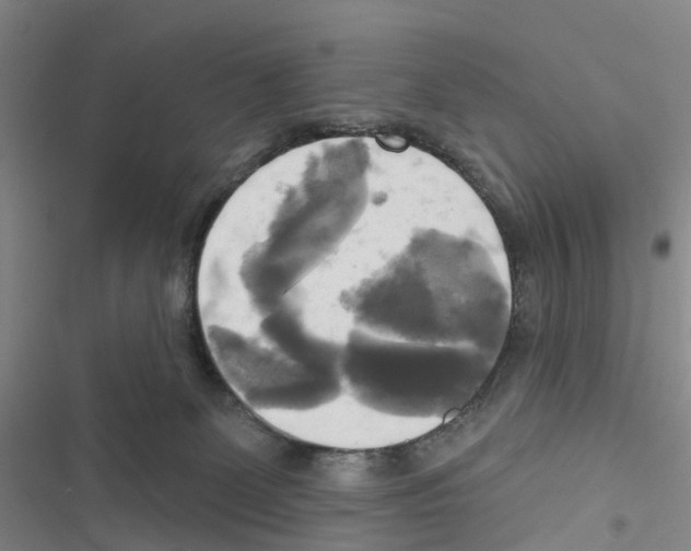 X0000116830131201001151234