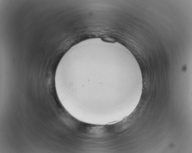 X0000116830132201001151234