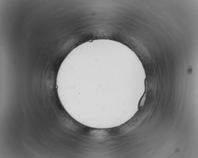 X0000116830133201001151234