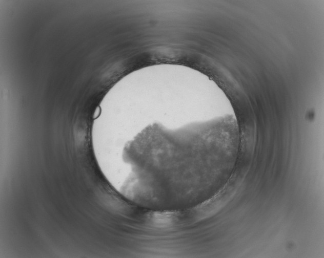 X0000116830134201001151234