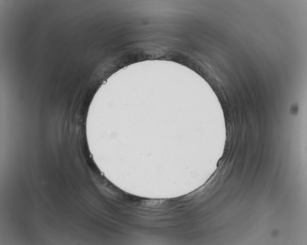 X0000116830136201001151234