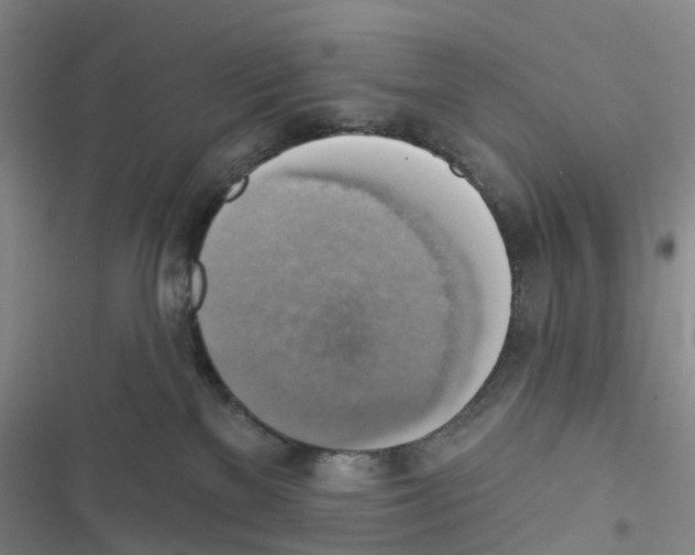 X0000116830137201001151234