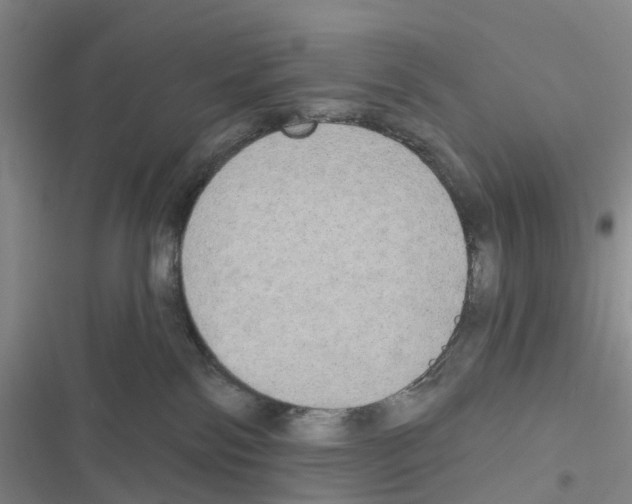 X0000116830138201001151234