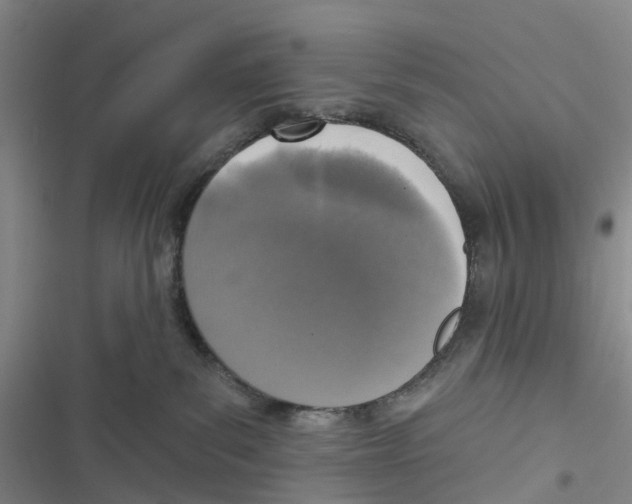 X0000116830139201001151234