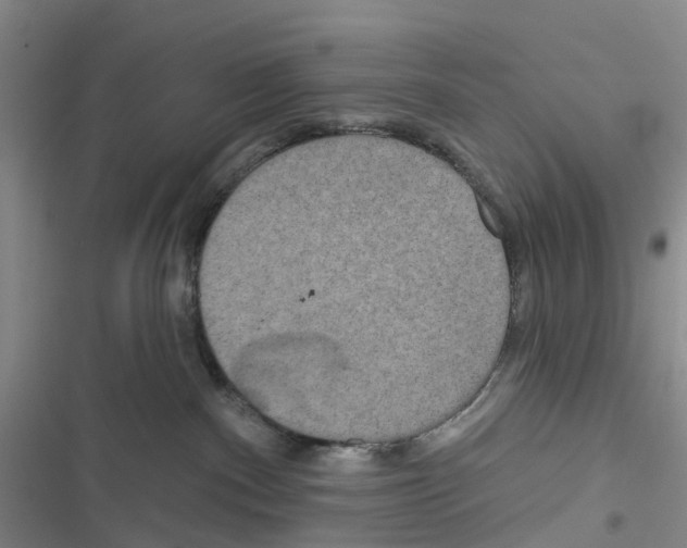 X0000116830140201001151234