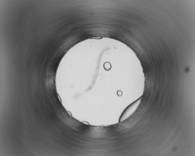 X0000116830141201001151234