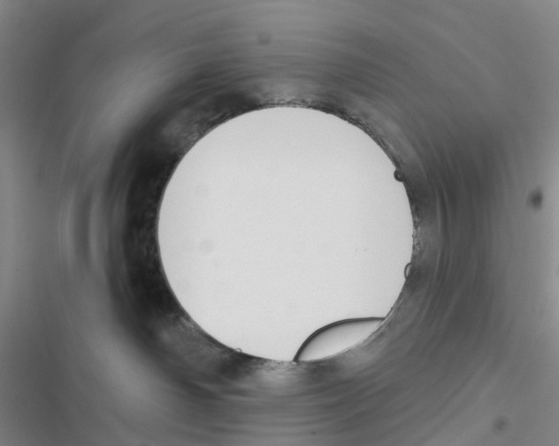 X0000116830142201001151234