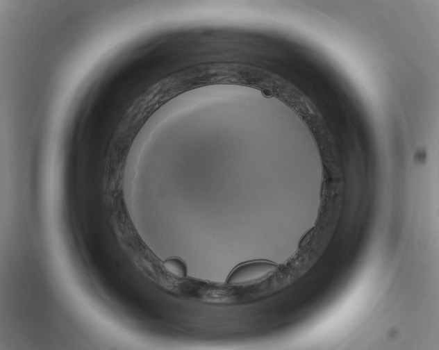 X0000116830143201001151234