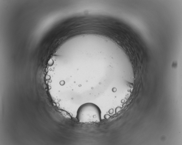 X0000116830146201001151233