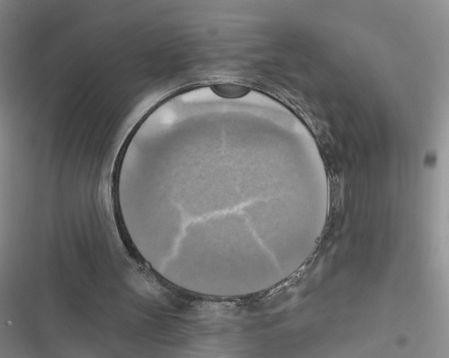 X0000116830147201001151233