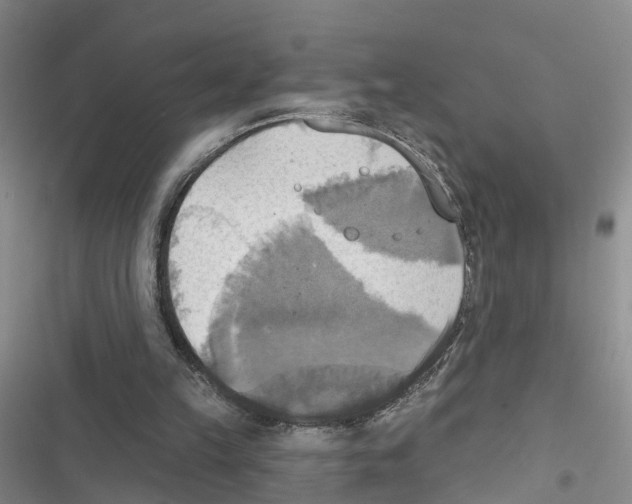 X0000116830149201001151233