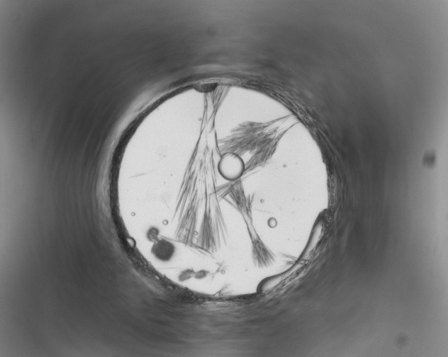 X0000116830150201001151233