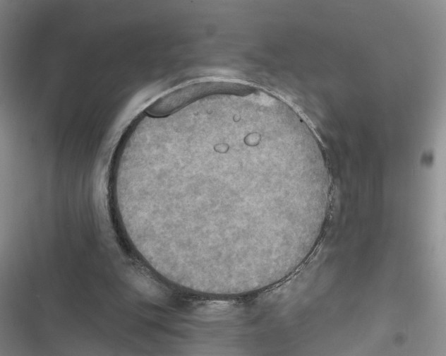 X0000116830151201001151233