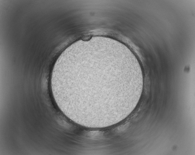 X0000116830153201001151233