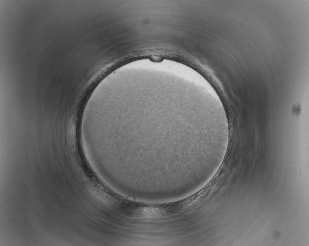 X0000116830154201001151233