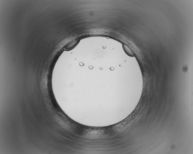 X0000116830155201001151233